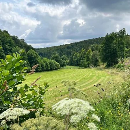 Waldstube * Bromskirchen