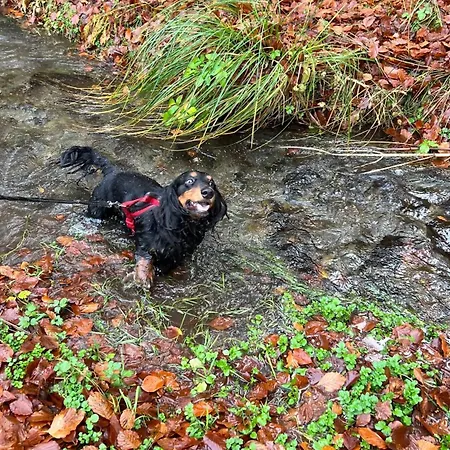 Waldstube Casa de Férias *