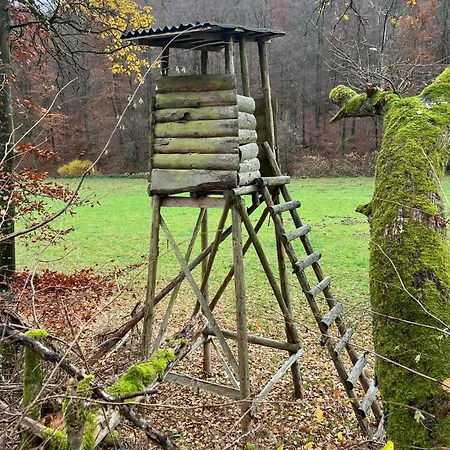 Casa de Férias Waldstube Bromskirchen