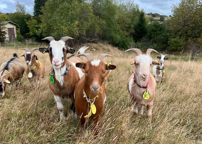 Waldstube Holiday home *