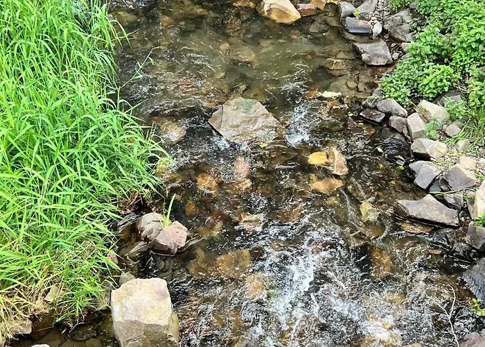 Waldstube בית נופש